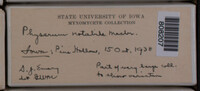 Image Associated With the Occurence